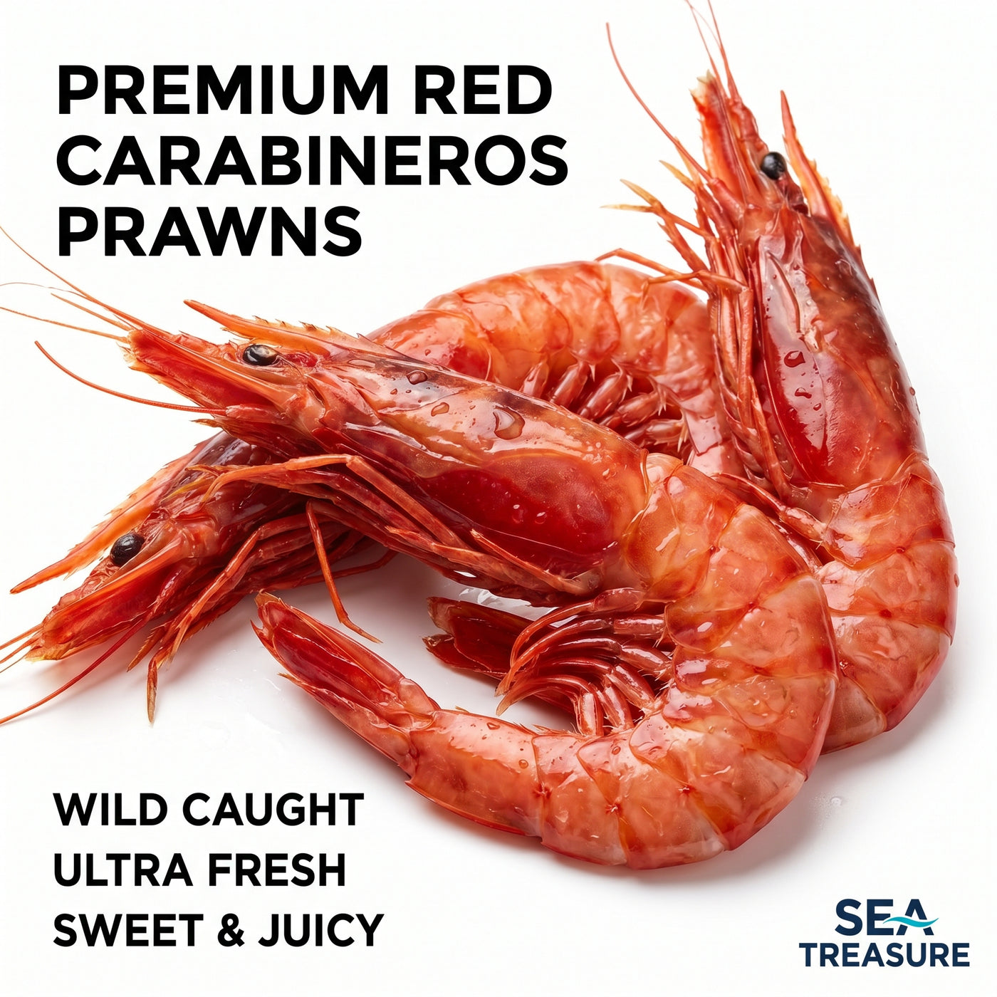 Red Shrimp
