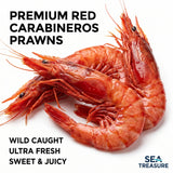 Red Shrimp